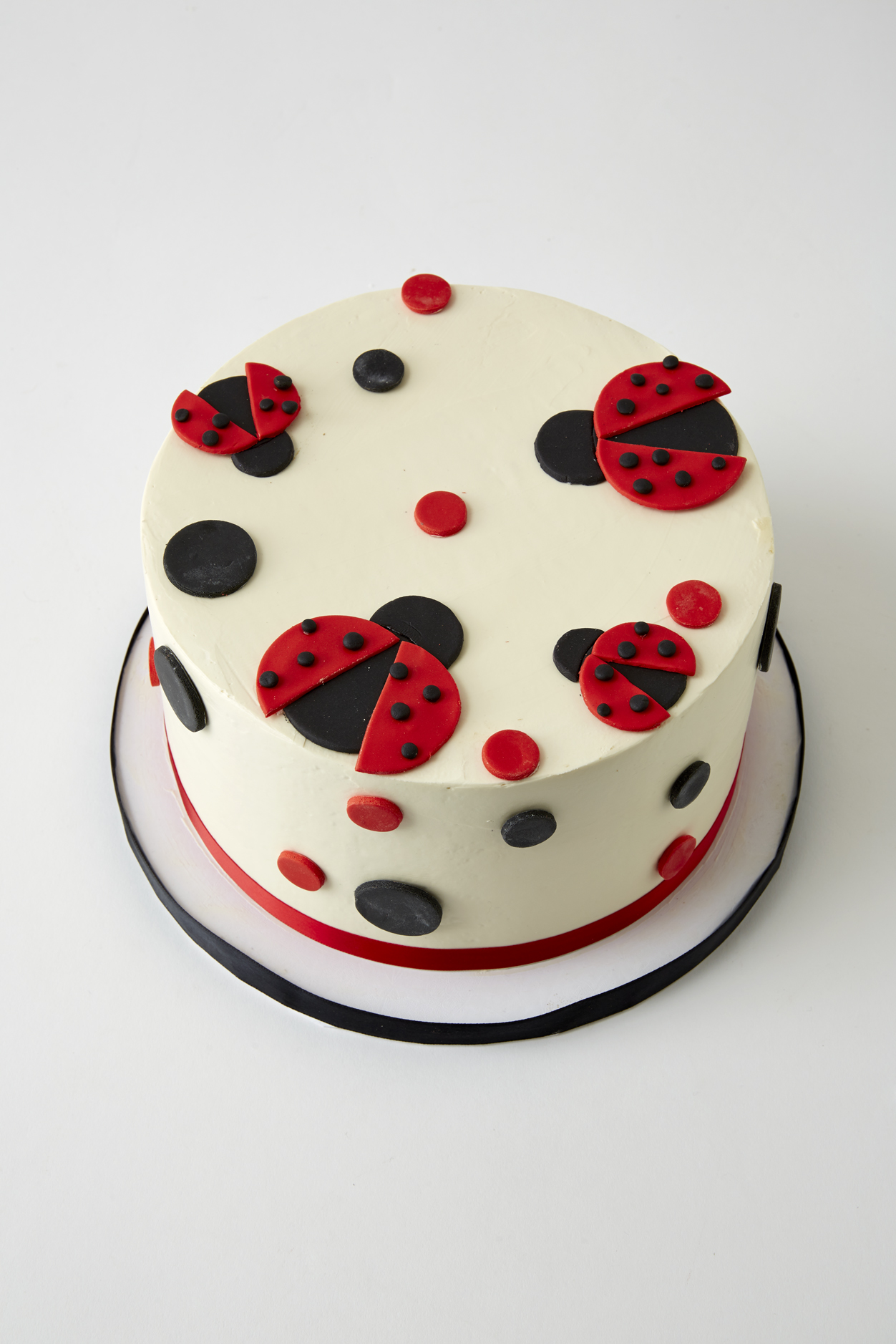 Ladybug Dots