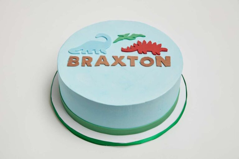 Mod Dinosaur Cake