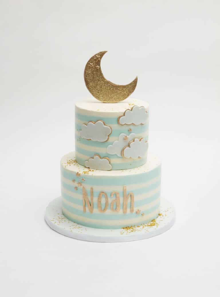 Baby Moon Cake