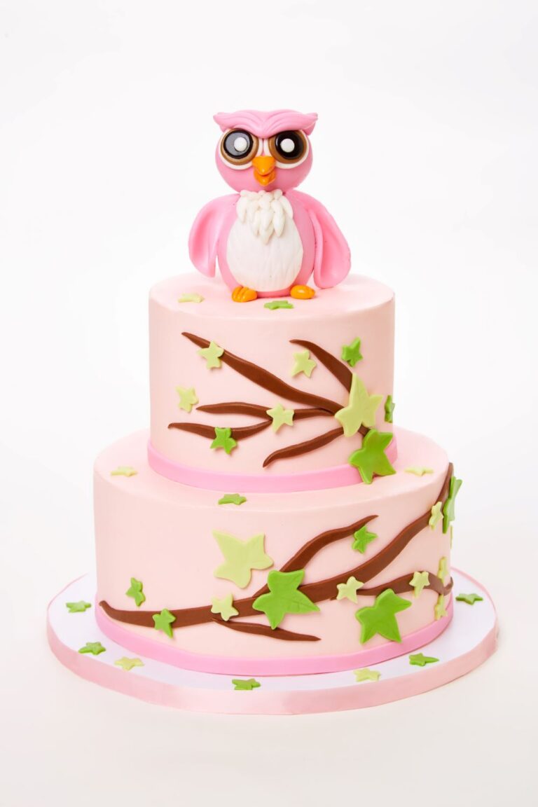 Baby Owl Cake