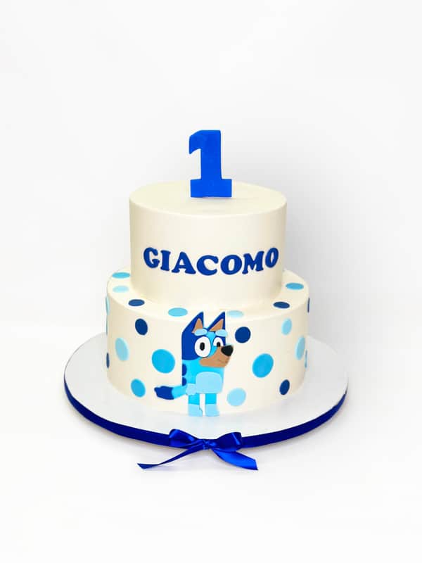 Bluey Dots Cake