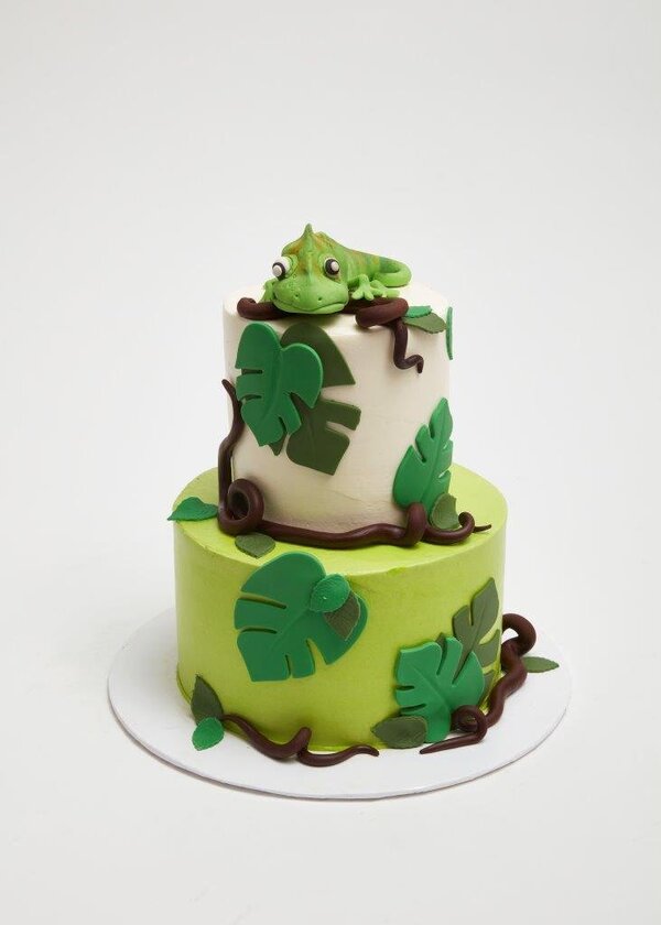 Chameleon Cake