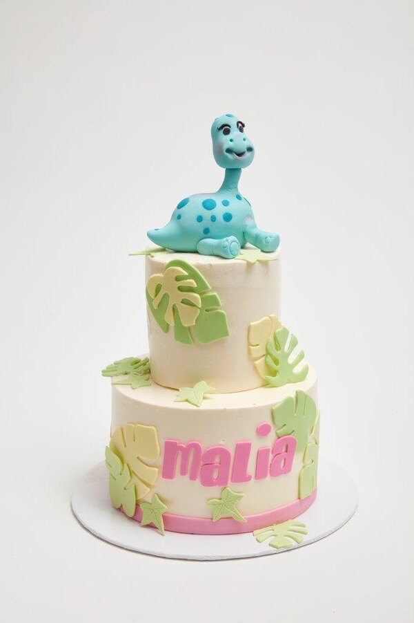 Funky Dinosaur Cake