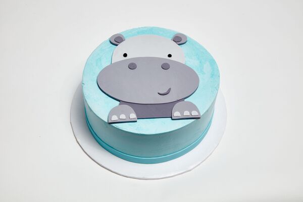 Hippo Cake