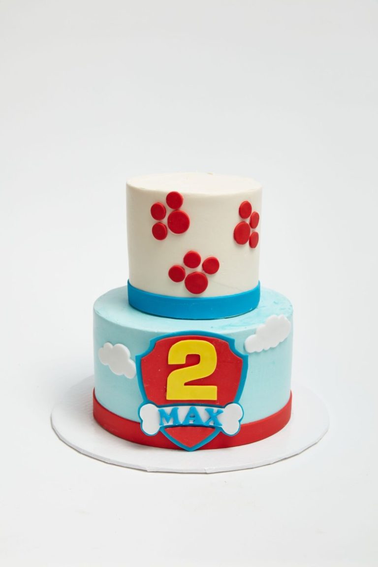 Paw Patrol Prints Cake